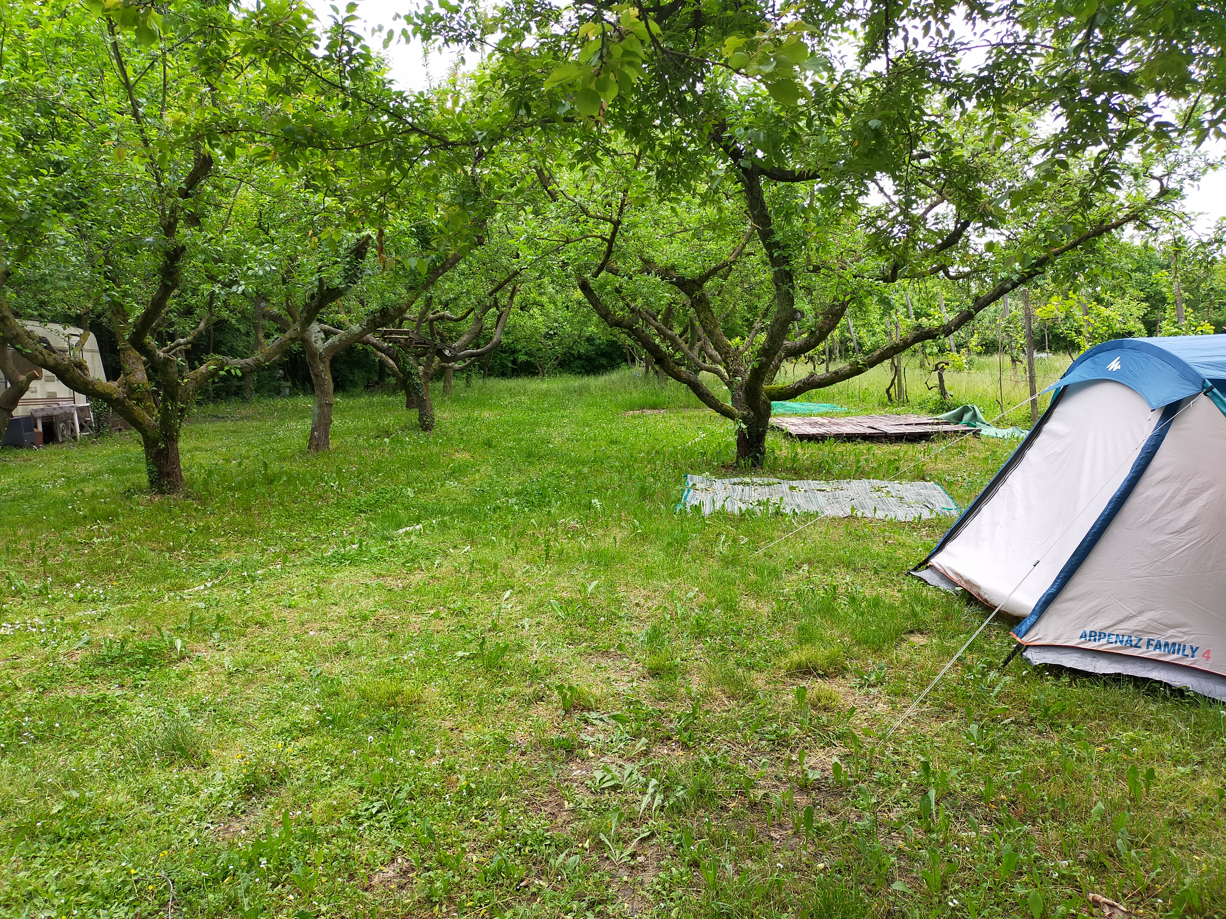 Camping-EcoGarden