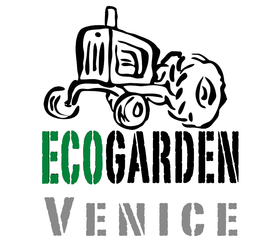 Ecogarden Venice – Orto Arcobaleno